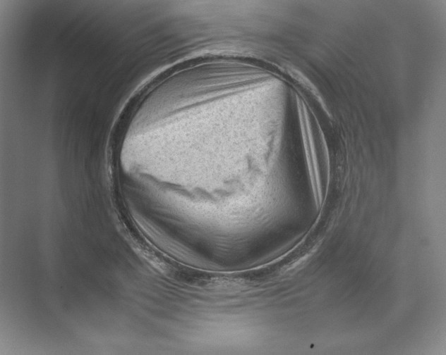 X0000074030981200609181922