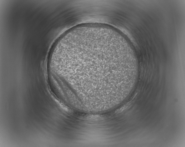 X0000074030982200609181922