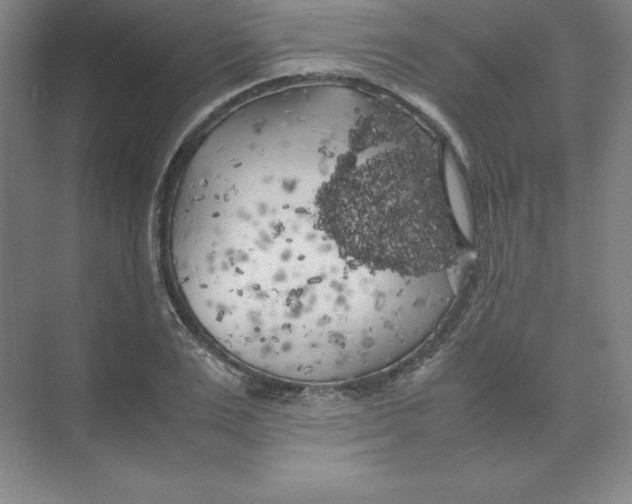 X0000074030983200609181922