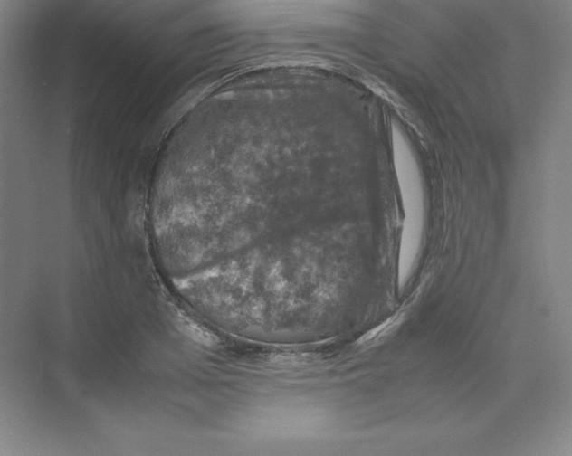 X0000074030985200609181922