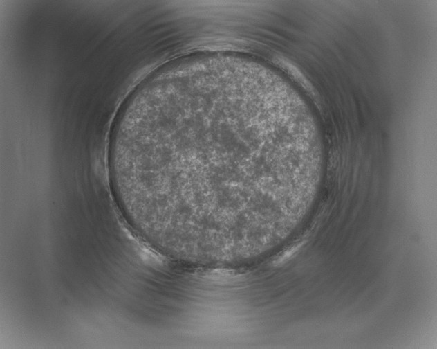 X0000074030986200609181922