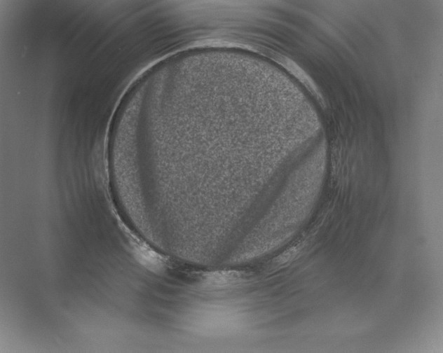 X0000074030988200609181922