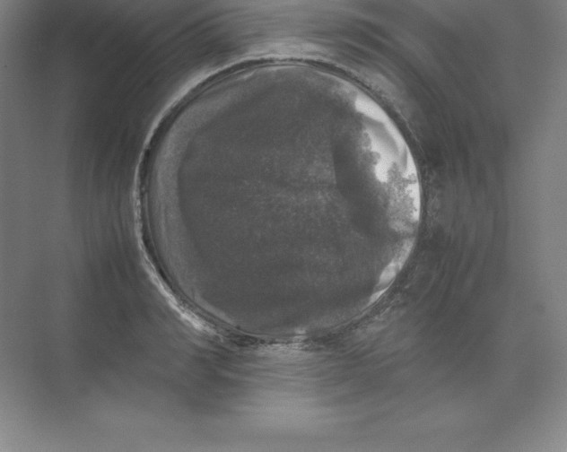 X0000074030990200609181922