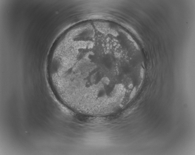 X0000074030991200609181922