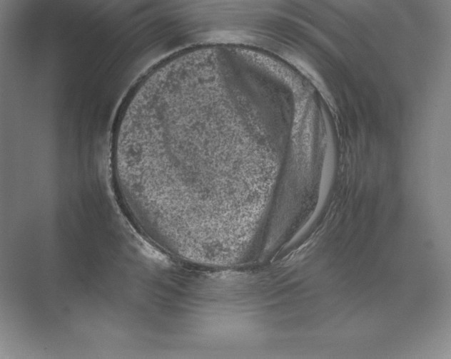 X0000074030992200609181922