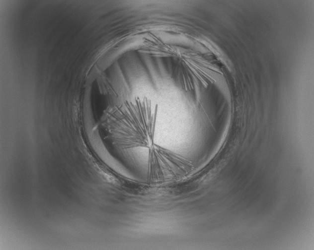 X0000074030993200609181922