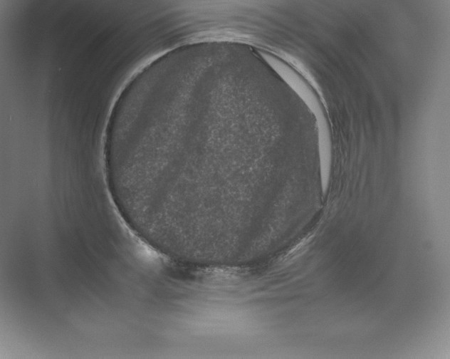 X0000074030995200609181922