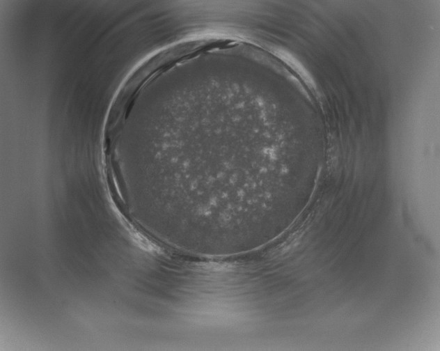 X0000074030996200609181922