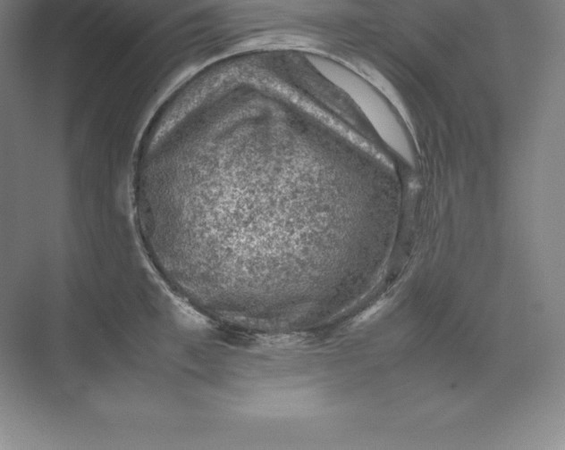 X0000074030997200609181922