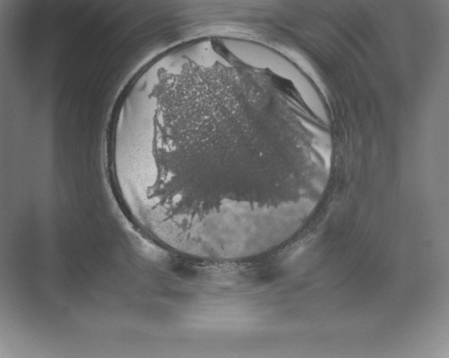 X0000074030999200609181922