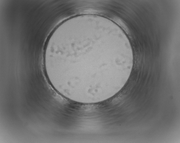 X0000074031000200609181922