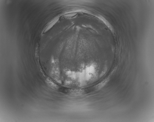 X0000074031001200609181922