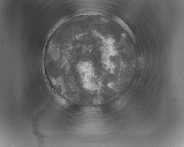 X0000074031002200609181922