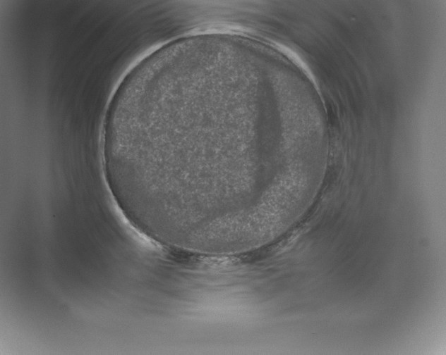 X0000074031003200609181922