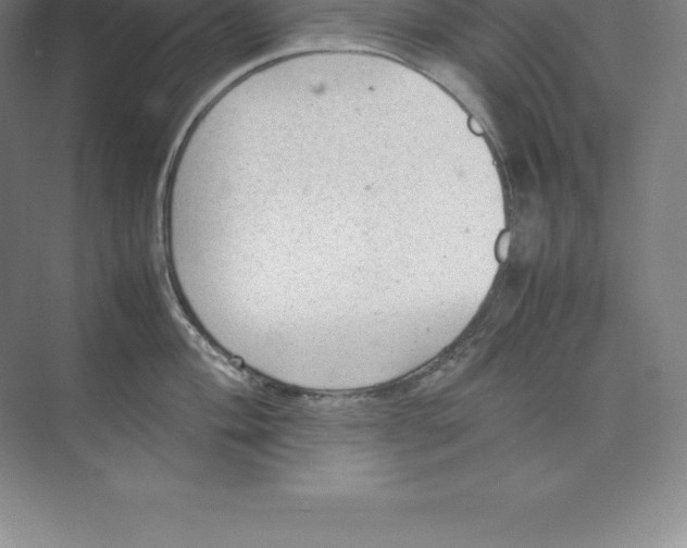 X0000074031004200609181922