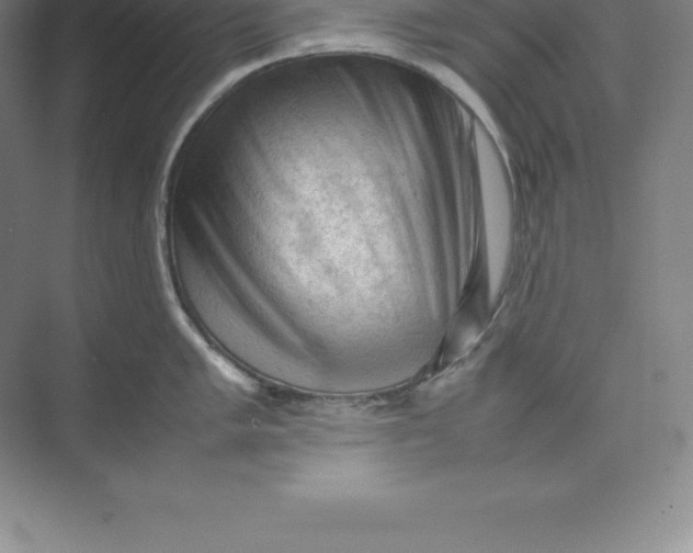 X0000074031005200609181922