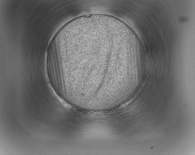 X0000074031006200609181922