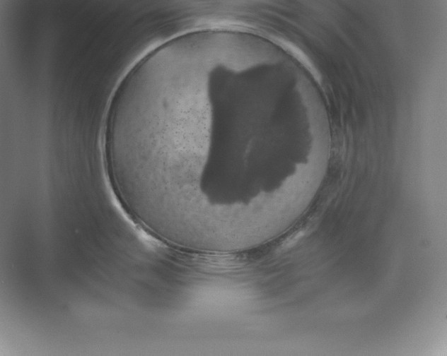 X0000074031007200609181922