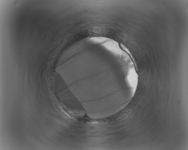 X0000074031009200609181921