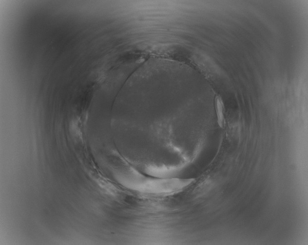 X0000074031010200609181921