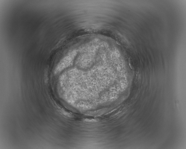 X0000074031012200609181921