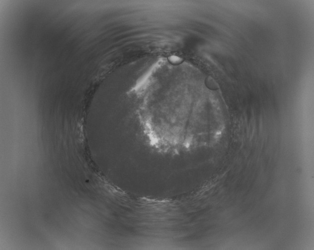 X0000074031013200609181921