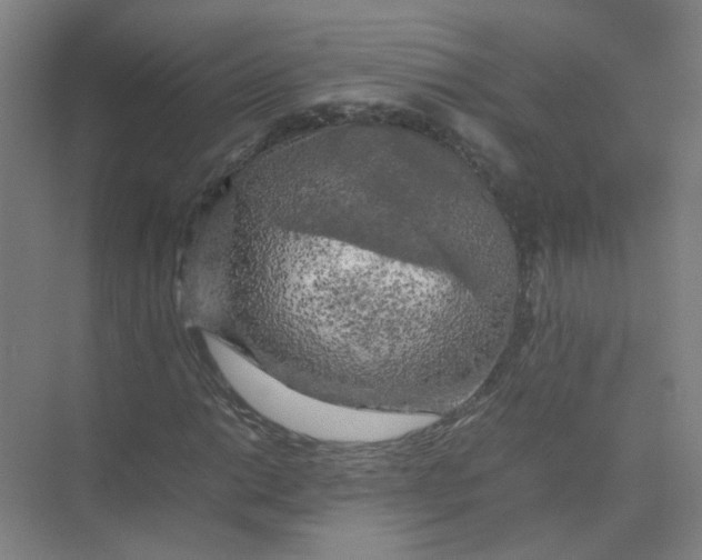 X0000074031014200609181921