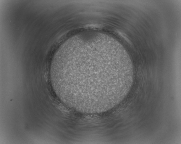 X0000074031015200609181921