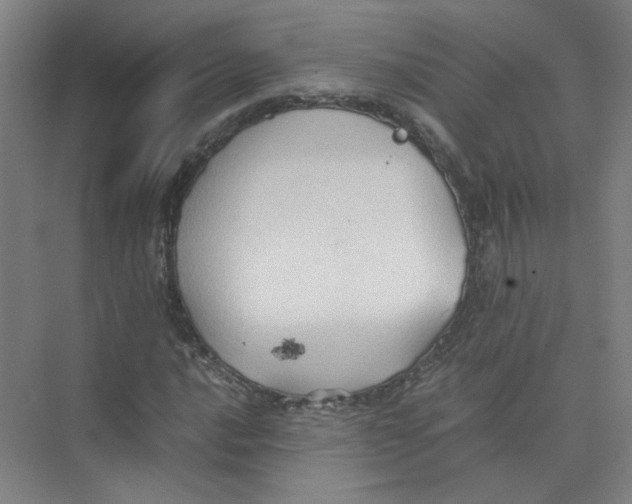 X0000074031016200609181921