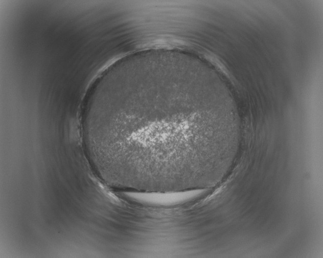 X0000074031018200609181921