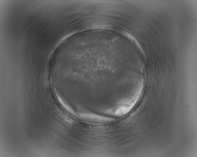 X0000074031019200609181921