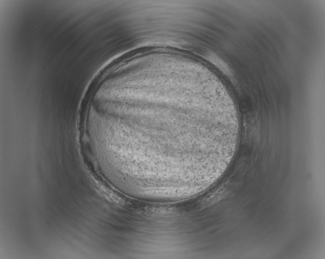 X0000074031020200609181921