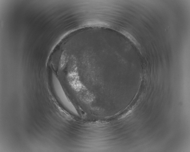 X0000074031022200609181921