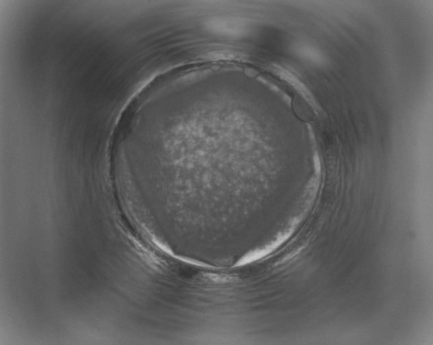 X0000074031023200609181921