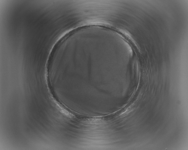 X0000074031024200609181921