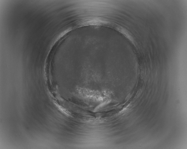 X0000074031026200609181921