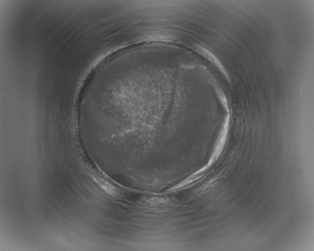 X0000074031027200609181921