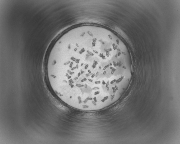 X0000074031028200609181921