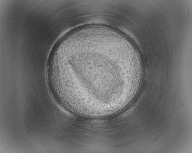 X0000074031029200609181921