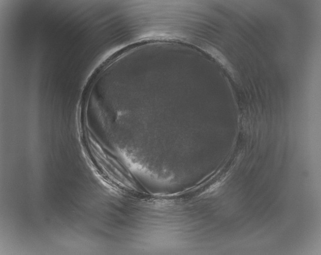 X0000074031030200609181921