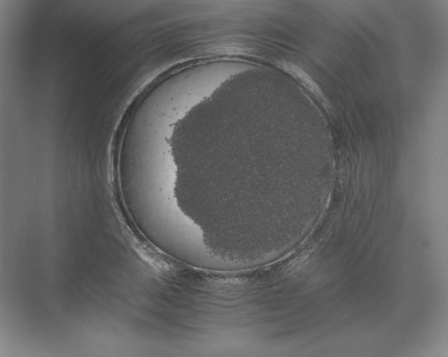 X0000074031031200609181921