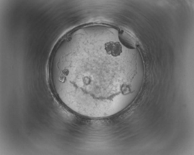 X0000074031032200609181921