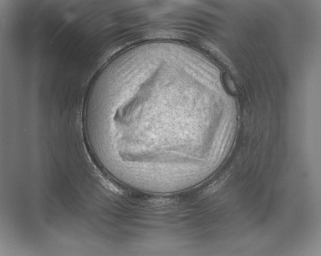 X0000074031033200609181921