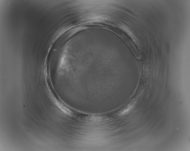 X0000074031034200609181921