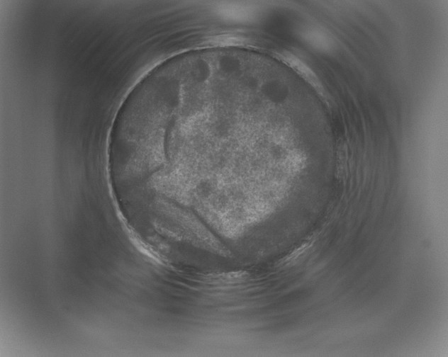 X0000074031039200609181921