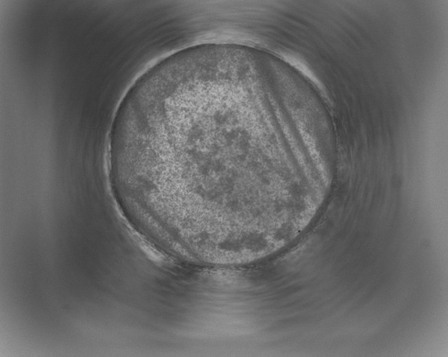 X0000074031040200609181921