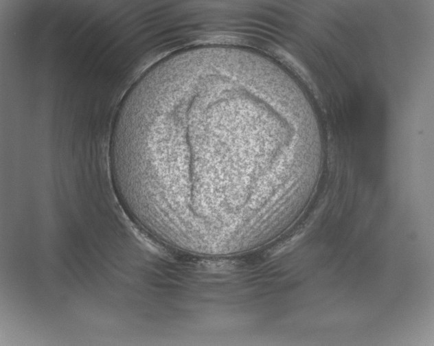 X0000074031041200609181921