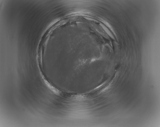 X0000074031042200609181921