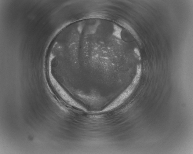 X0000074031043200609181921