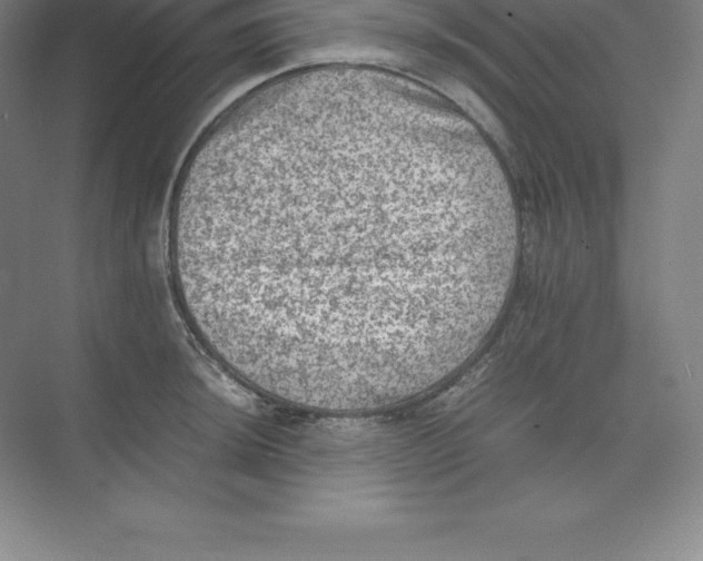 X0000074031044200609181921